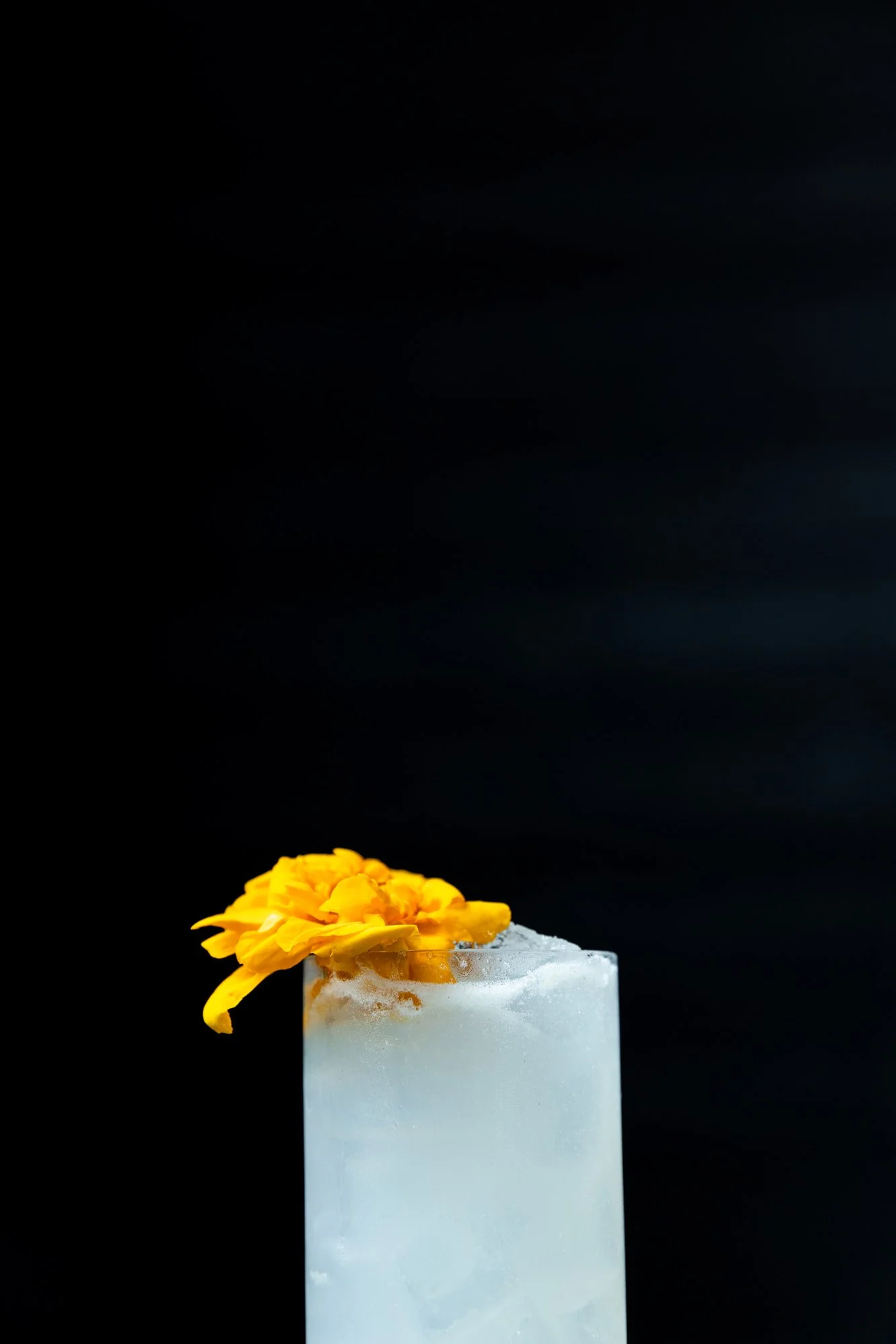 A white cocktail glass with a yellow flower garnish on a black background.