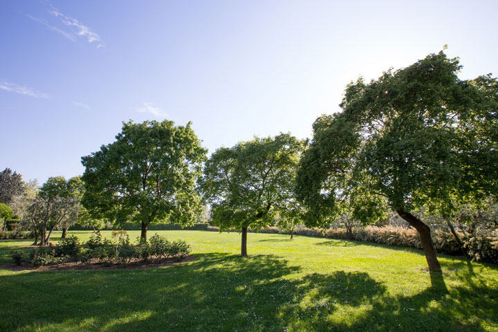 EM0Q0252.jpg