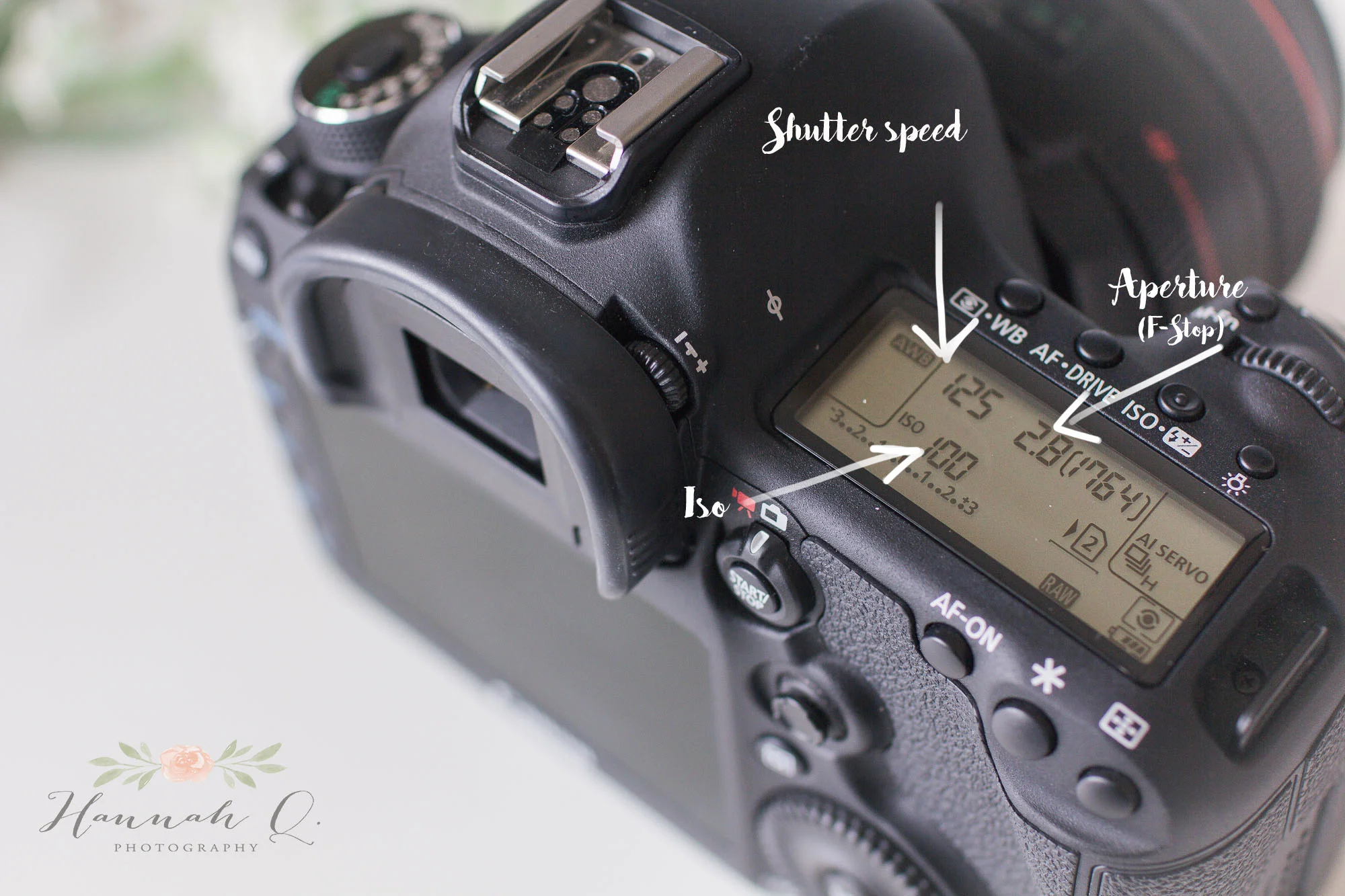 photography101.jpg