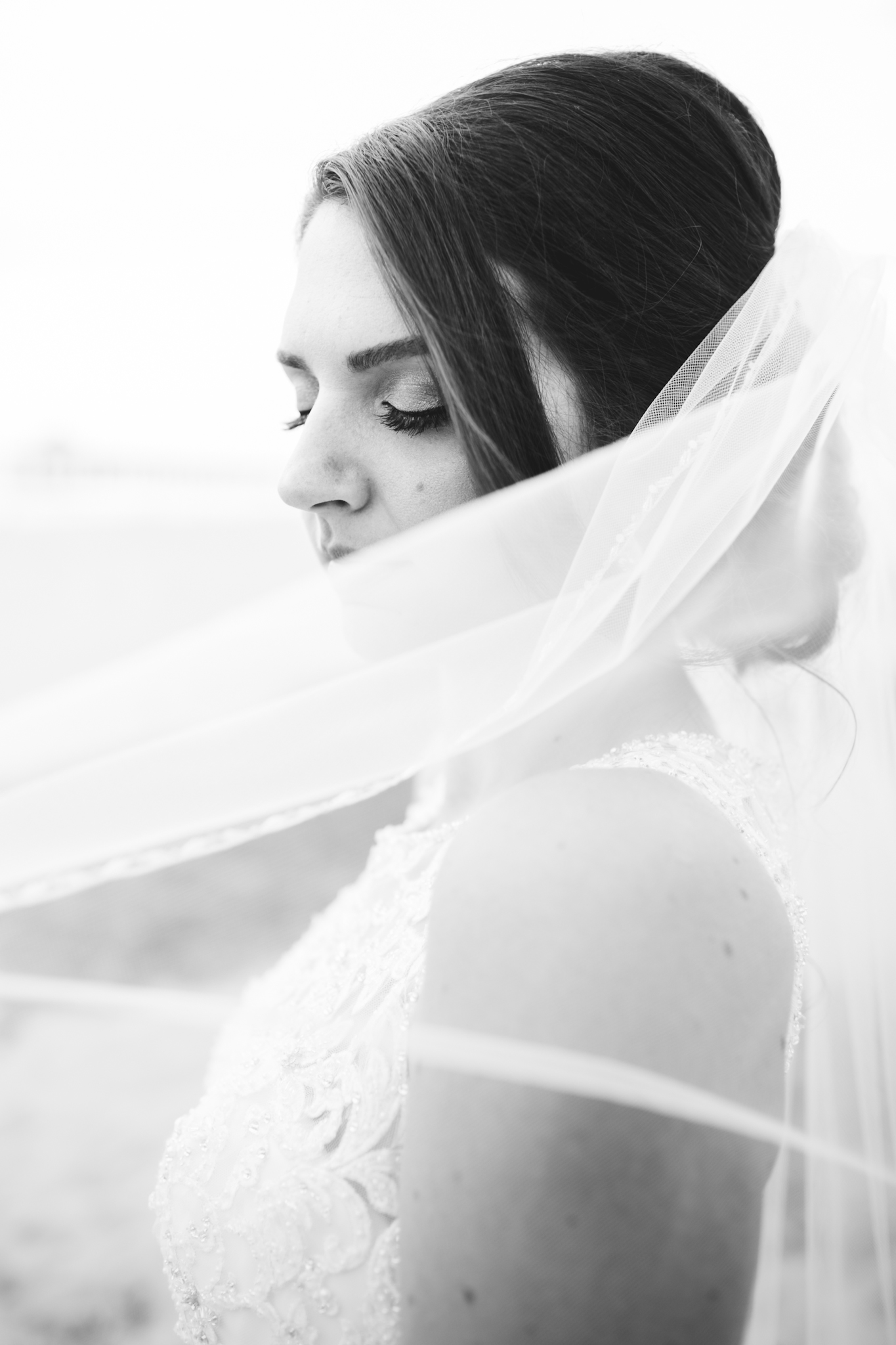 Black + White.