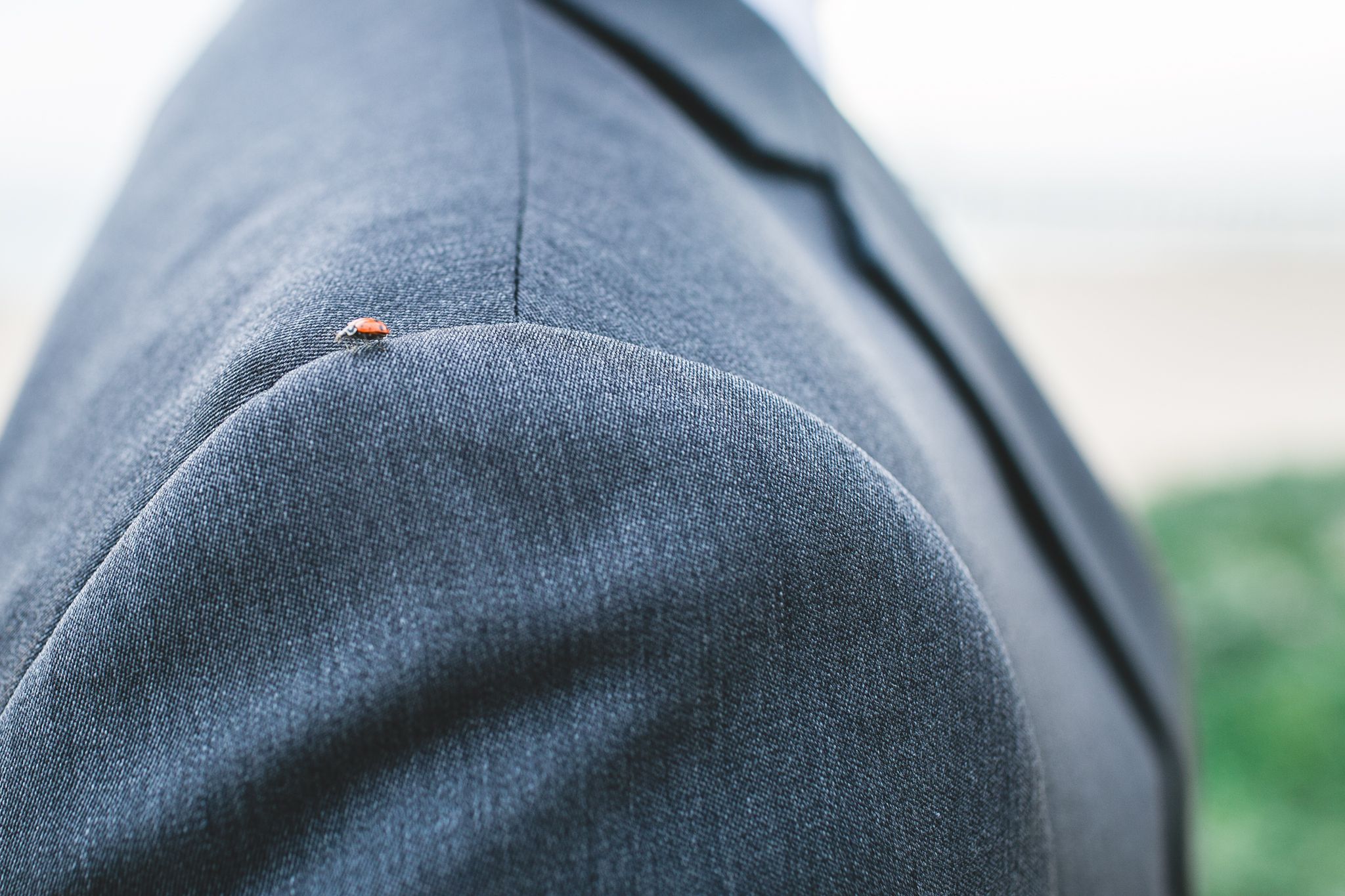 A lady bug for good luck