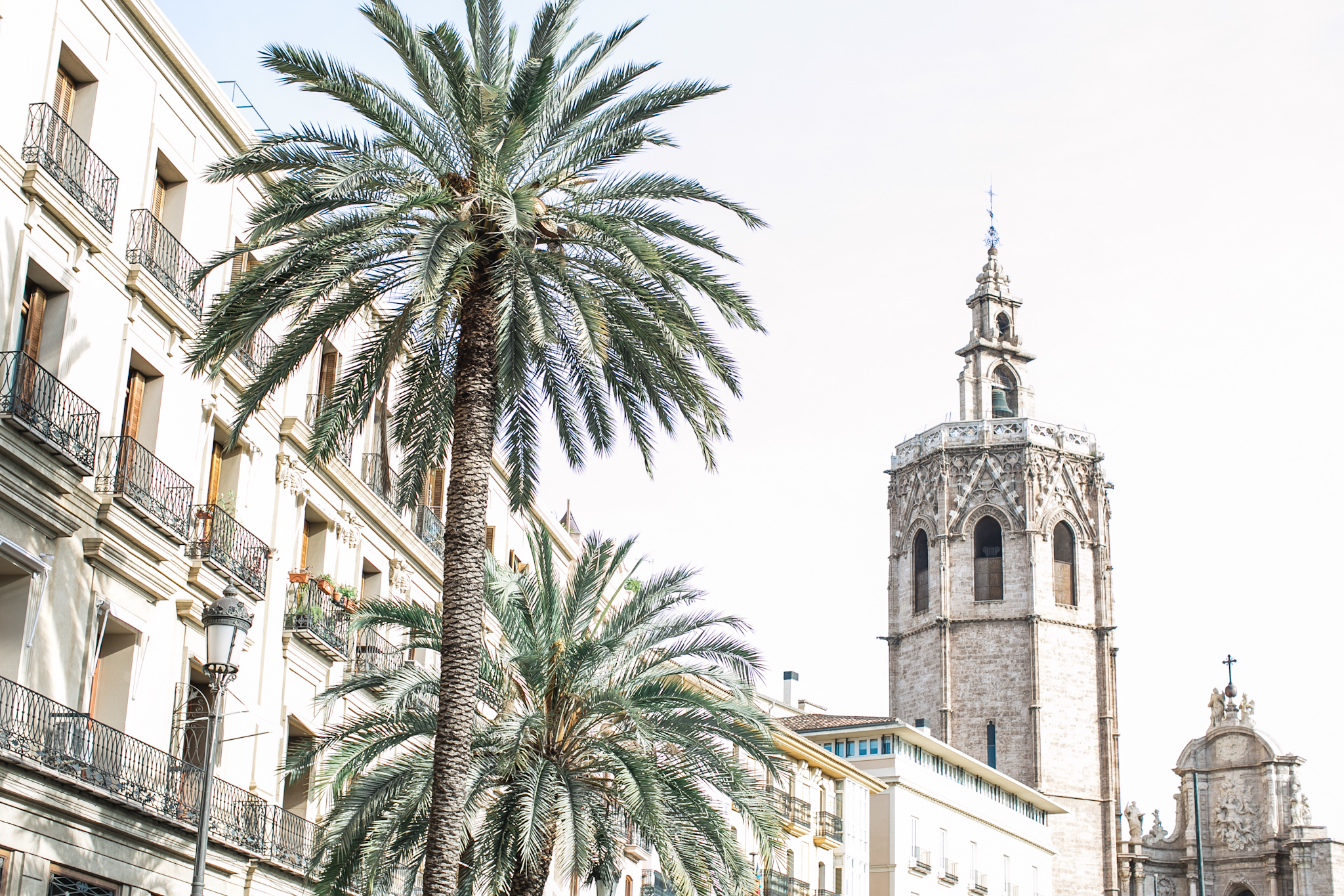 Palm tree's were EVERYWHERE!