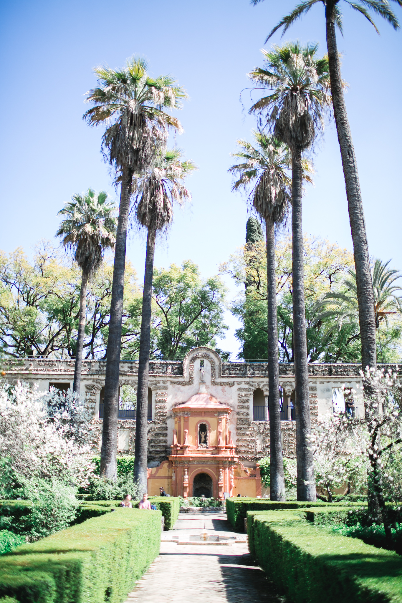 Real Alcazar grounds
