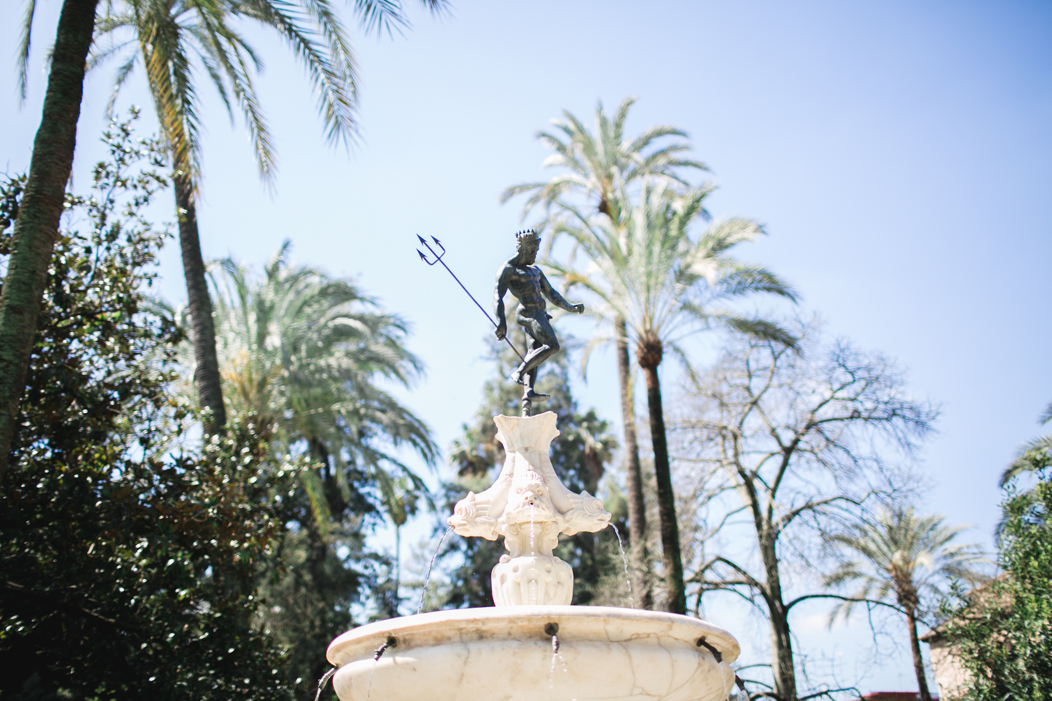 Real Alcazar grounds