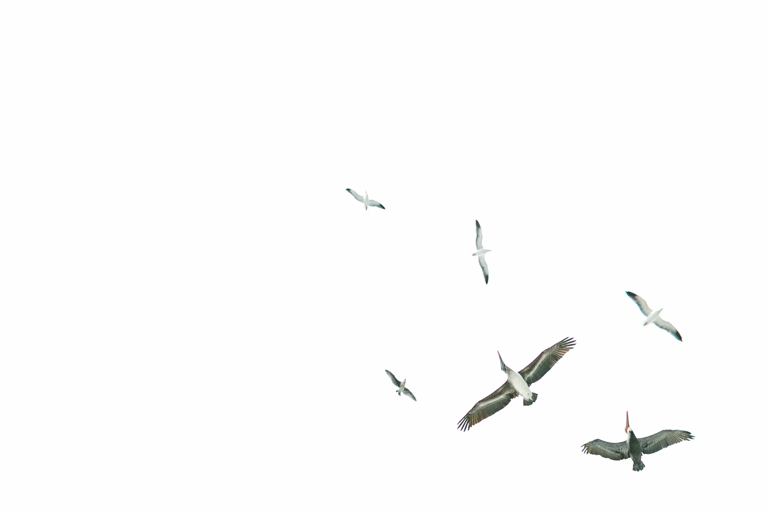 fine+art+photographer+colorado