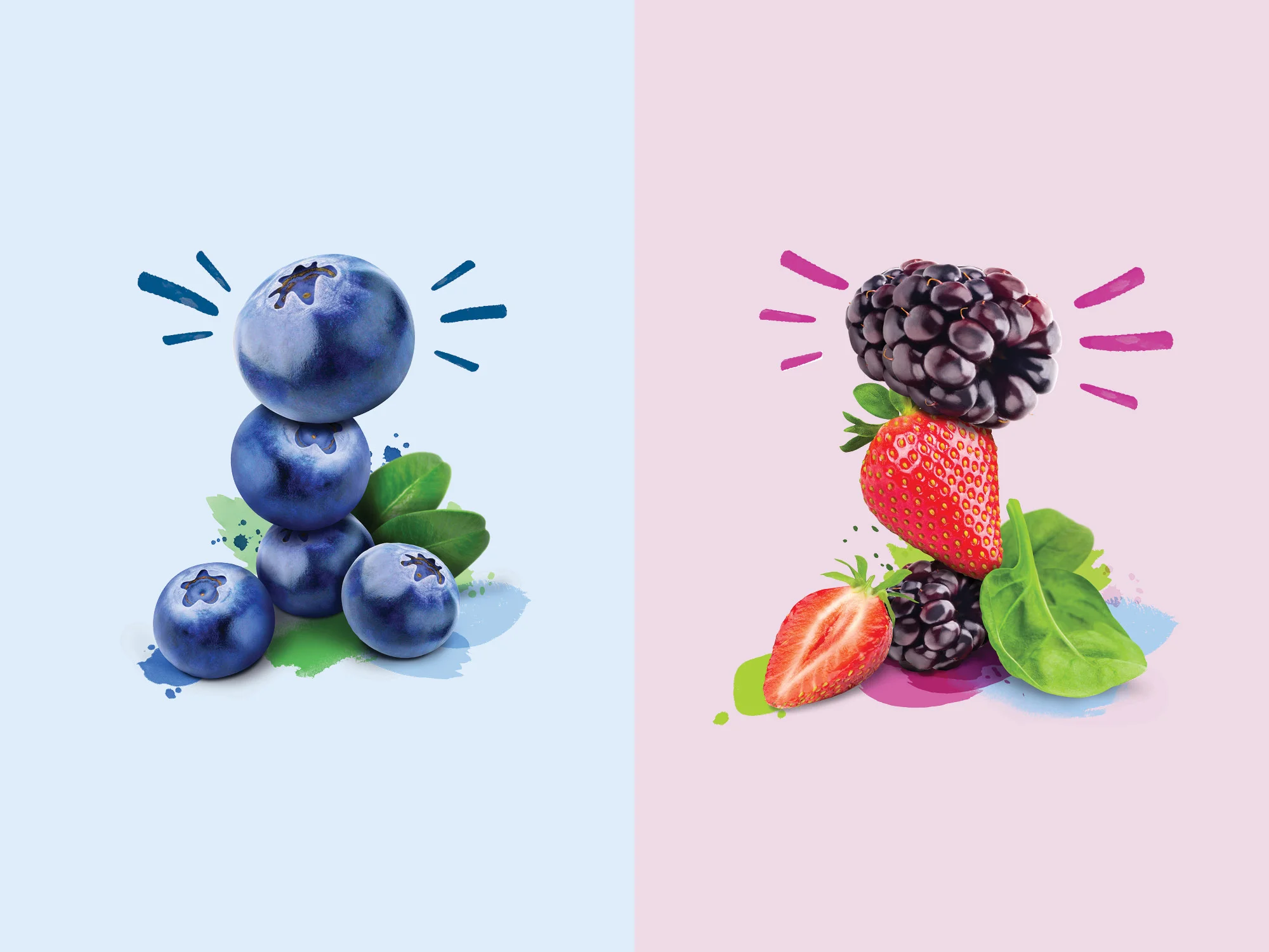 onfire-design-uniqberry-frozen-berry-packaging-design-12.jpg