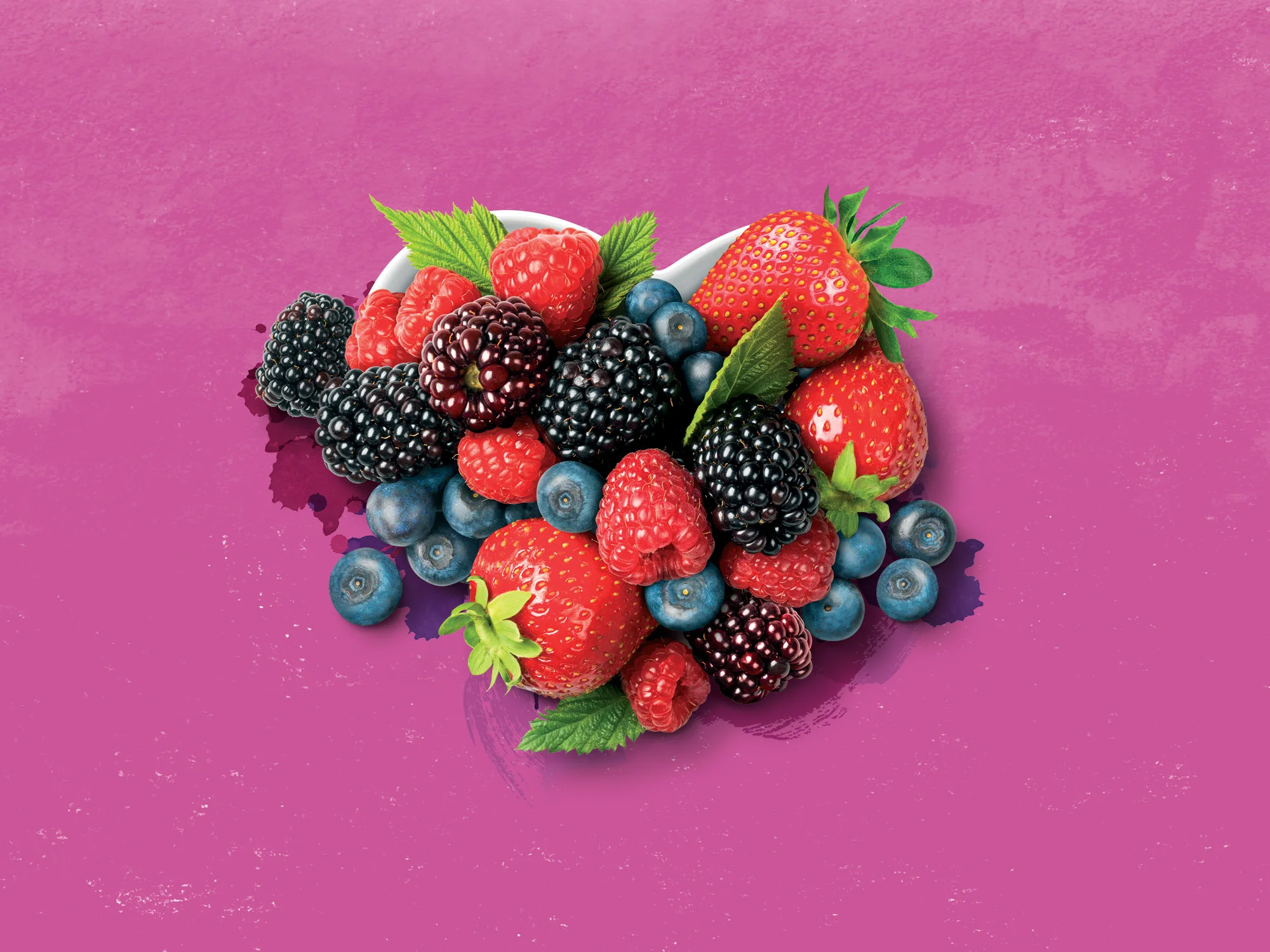 onfire-design-sujon-berries-branding-packaging-graphic-design-5.2.jpg