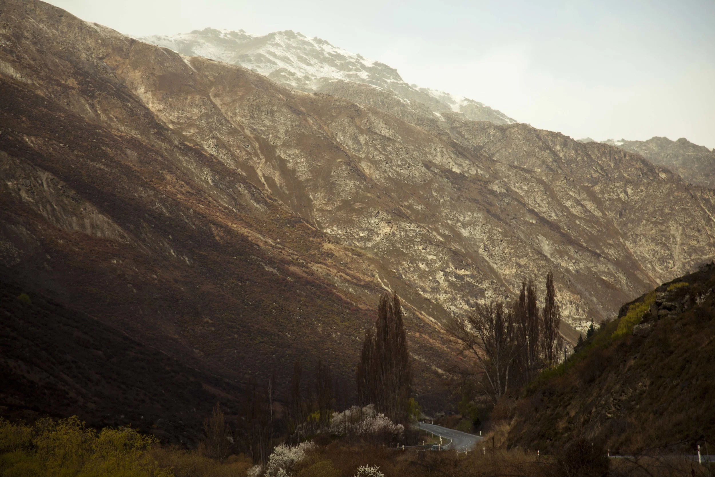 EHGLandscapesCRC_5.jpg