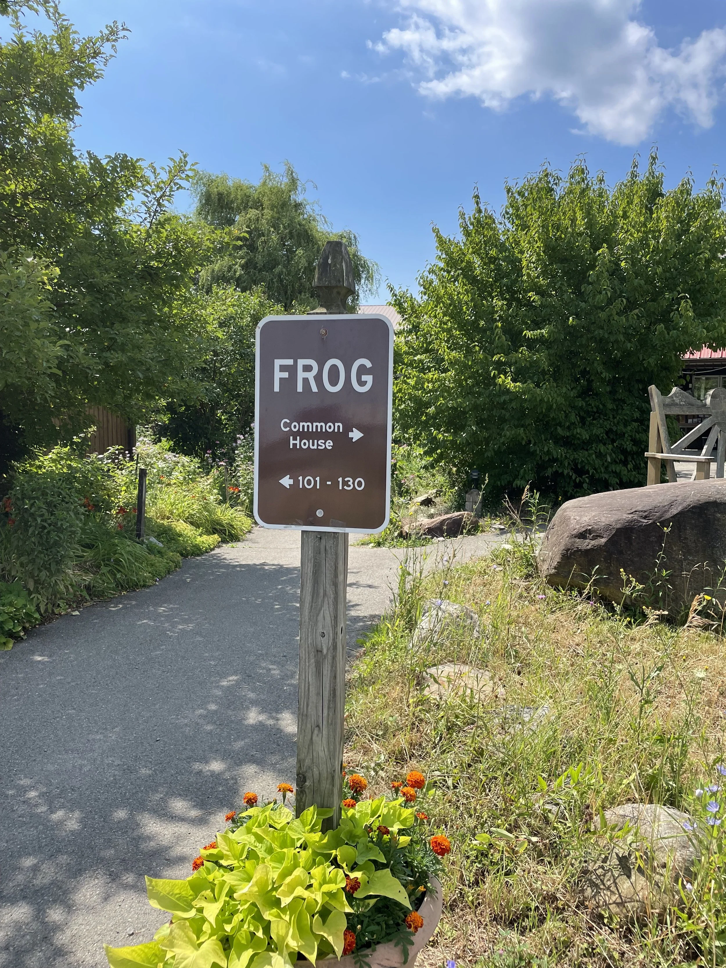 August Social:  Road Trip to Ithaca Ecovillage, Ithaca NY