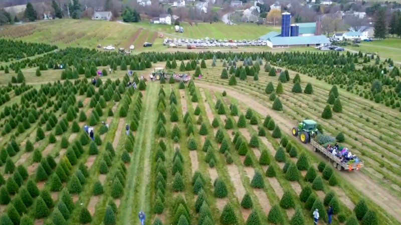 Altair's October Social - Celebrate Autumn at Yeager's Farm & Market