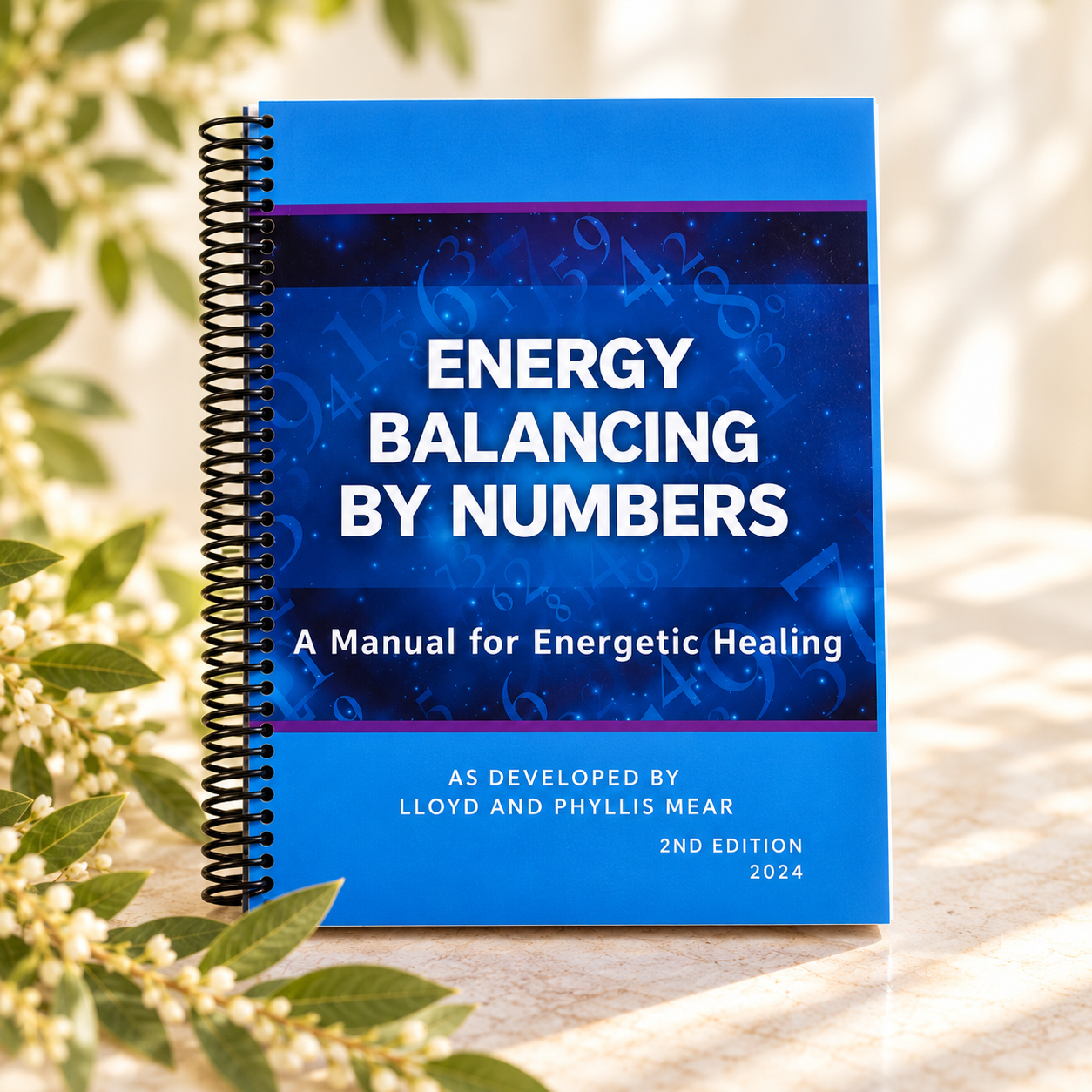 Energy Balancing by Numbers Manual (1).png