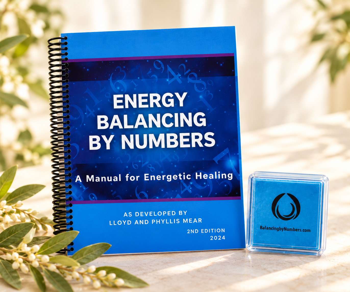 Energy Balancing Manual and Disc.png