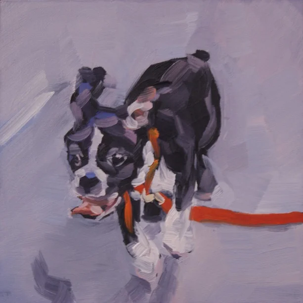  Lilly, The Mexican Jumping Bean I, 4 x 4 inches, SOLD 