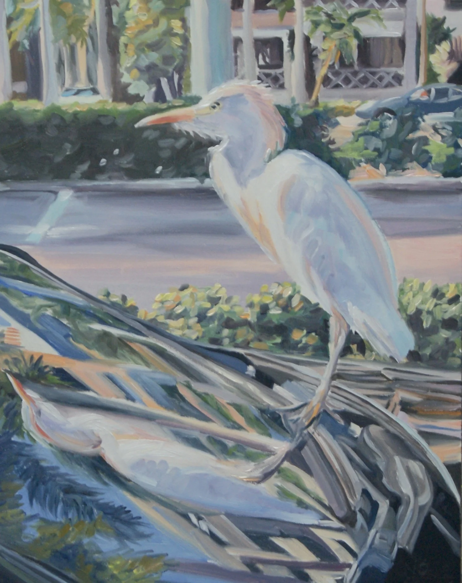 Egret.jpg