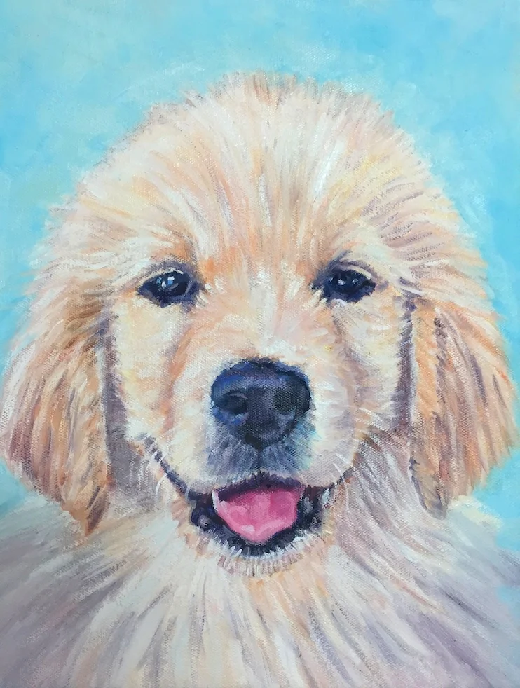 Portrait of a Golden Retriever Puppy