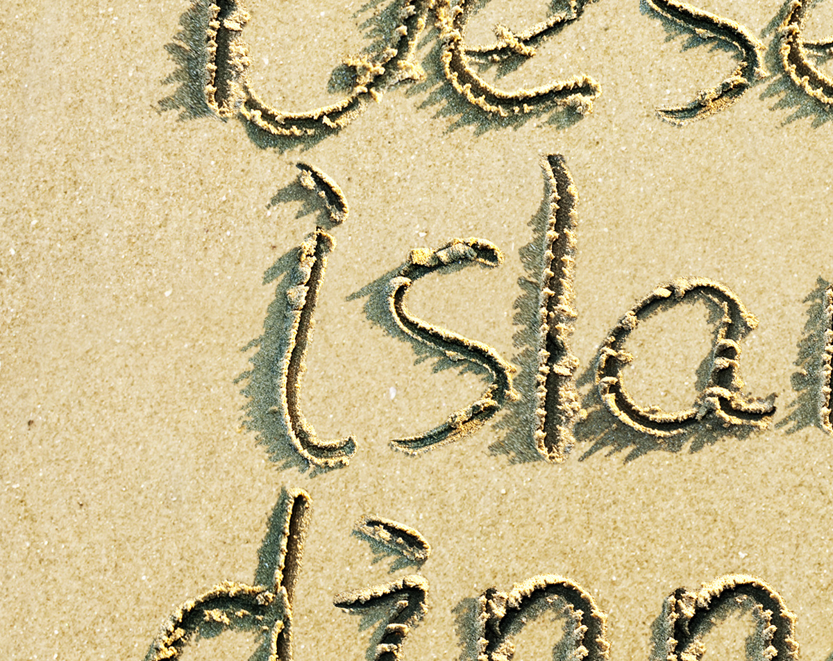 DesertIslandDinnersEXTENDEDdetail.jpg