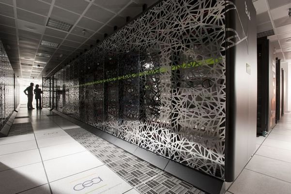 frank chabert bull 2.jpg