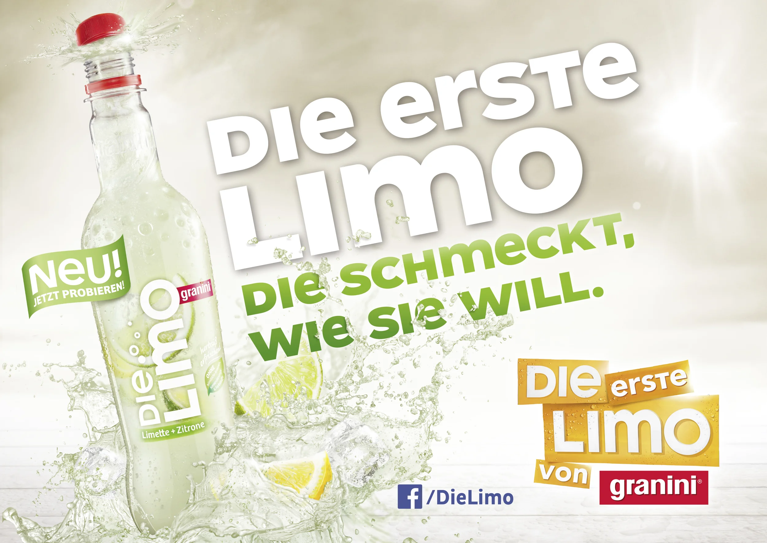 EGR_DieLimo_Launch_181Plakate_RZ-3.jpg