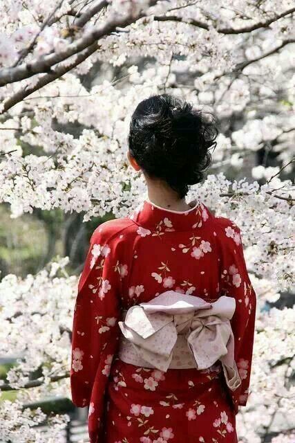 kimono obi cherry blossoms.jpg
