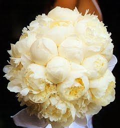 pale yellow peonies bouquet.jpg