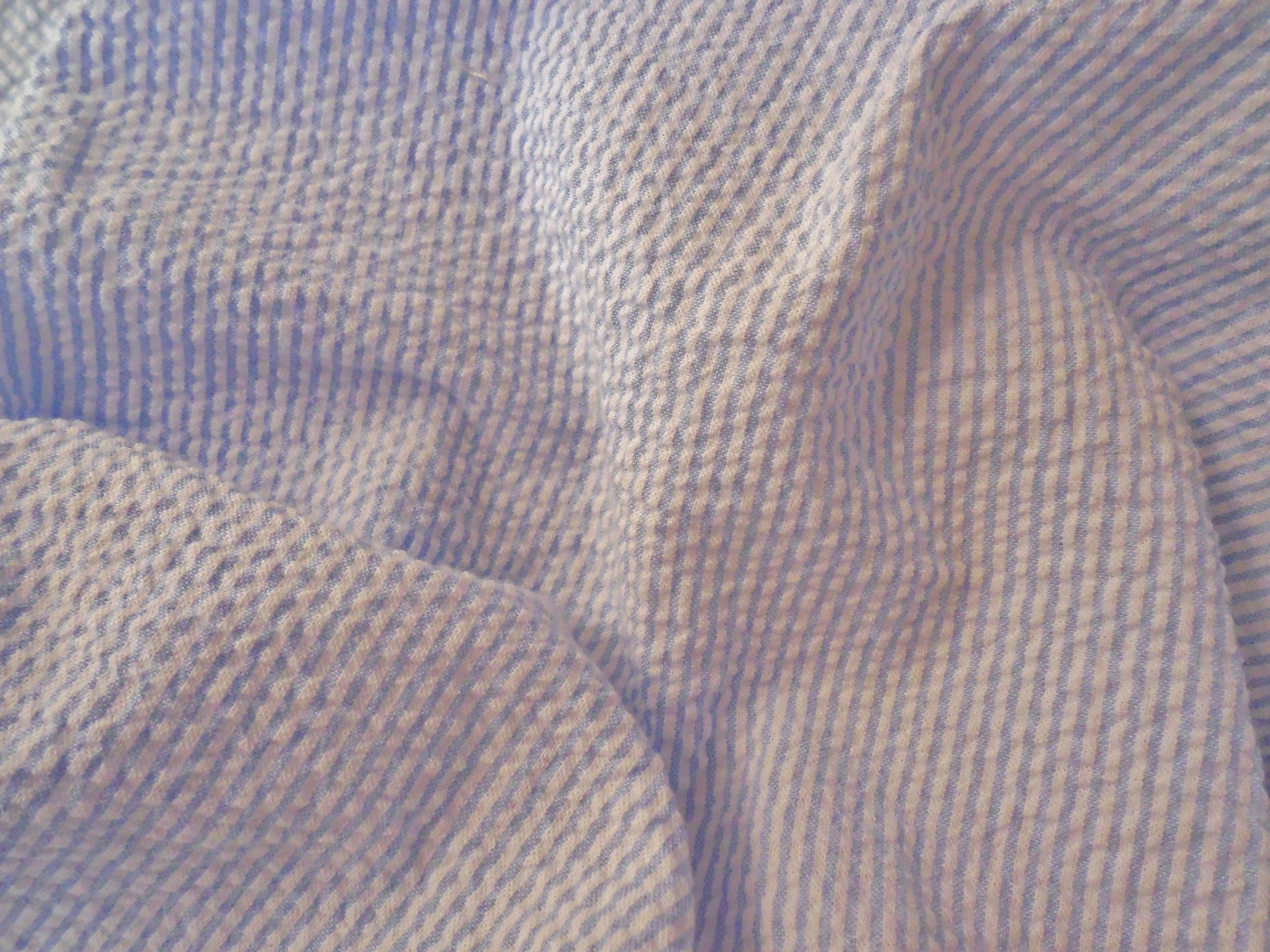 fabric - DSCN3130 - Copy.JPG