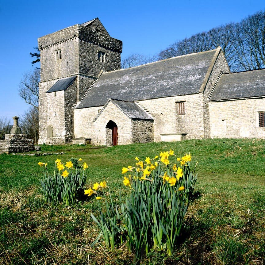 church daffodils (2).jpg