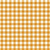 gold gingham (2).jpg