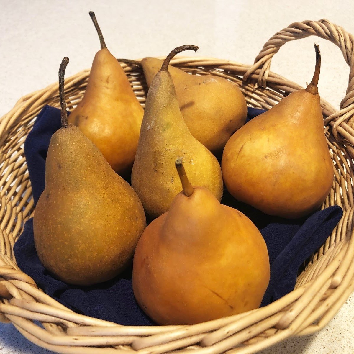 bosc pear basket (3).JPG