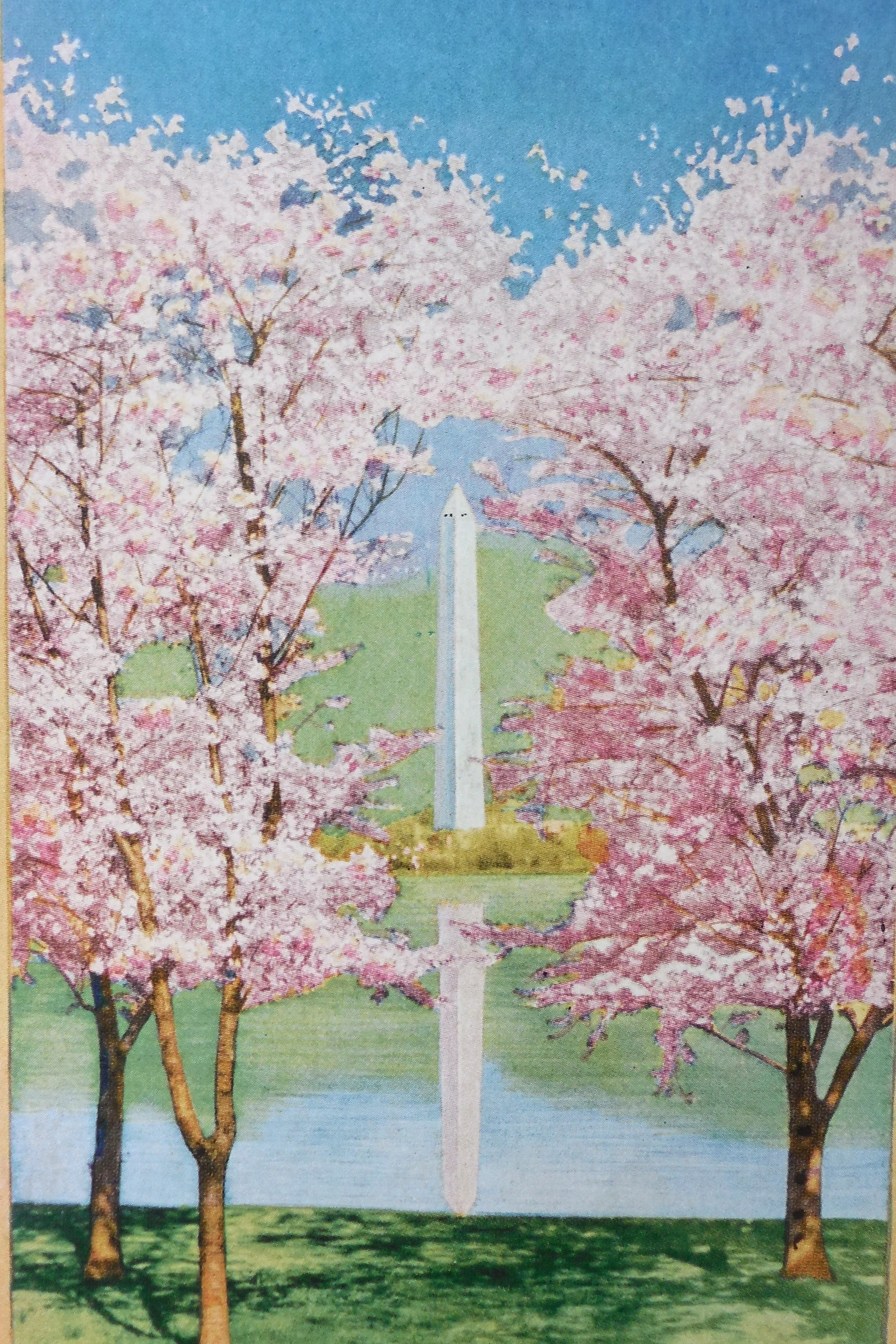 Penn RR. Cherry blossoms.cropped 2.JPG