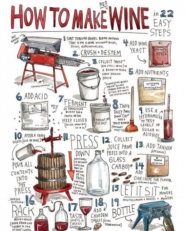 Interested in learning how to make wine?  Here are 22 &ldquo;easy&rdquo; steps...or you can just get in your car and drive to the winery today 🍷 that&rsquo;s only 2 steps 😂 #makingwine #drinkingwine #wine #battonhollowwinery