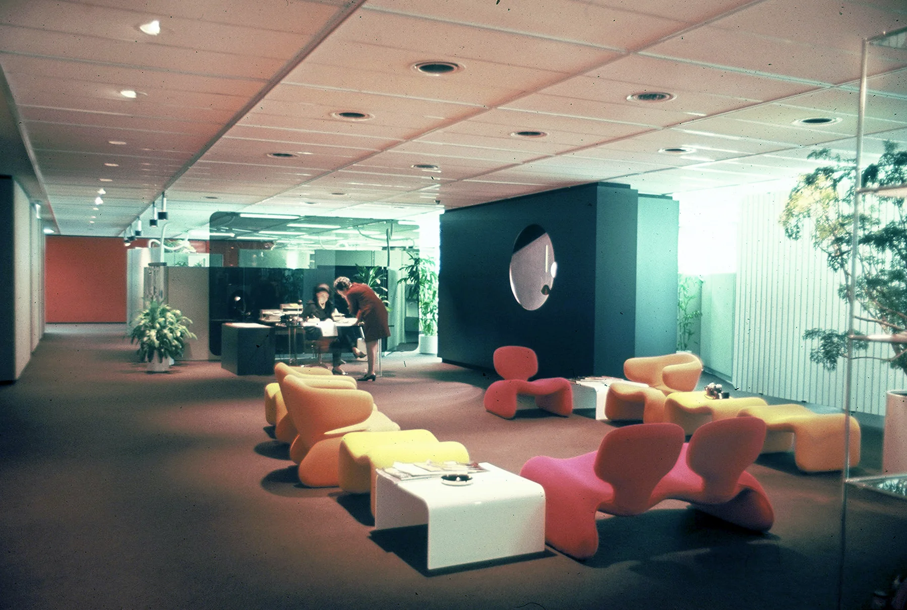 Bloom Advertising Agency