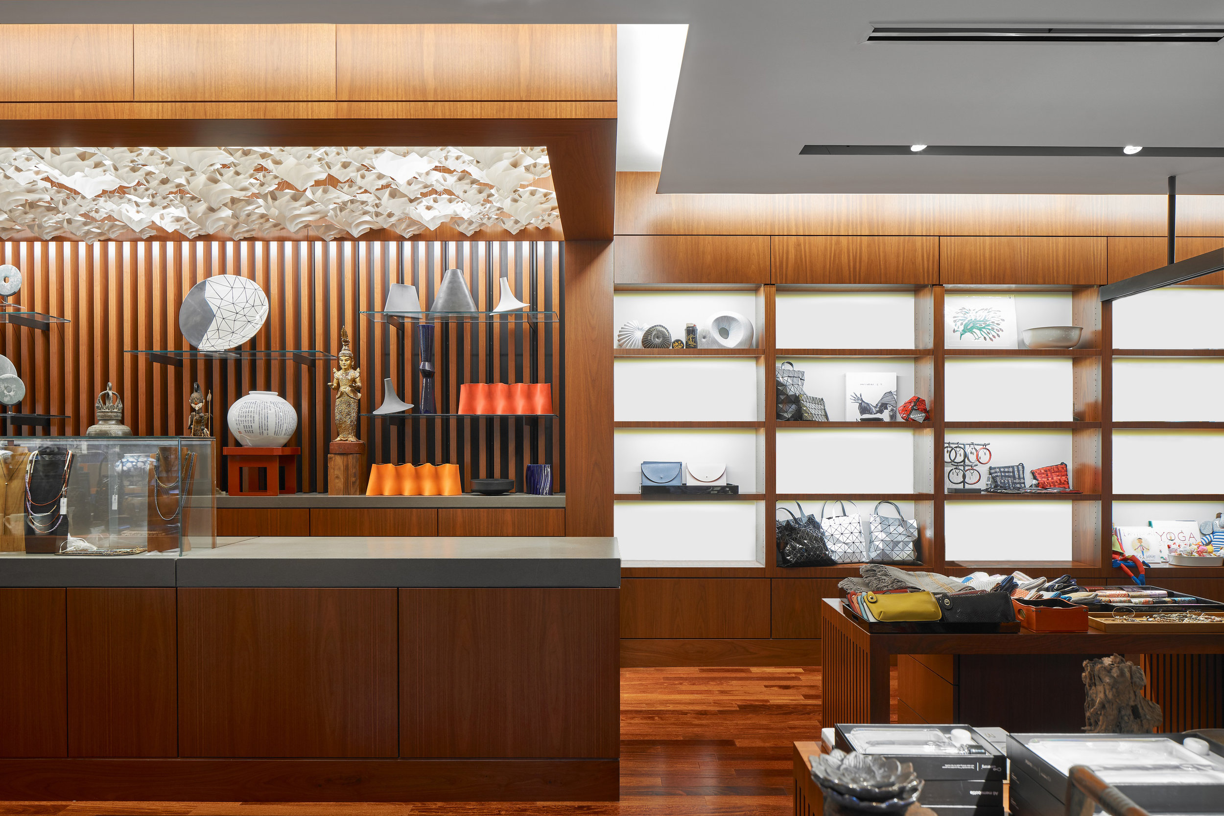 Crow 2_0003231_decluttered.jpg