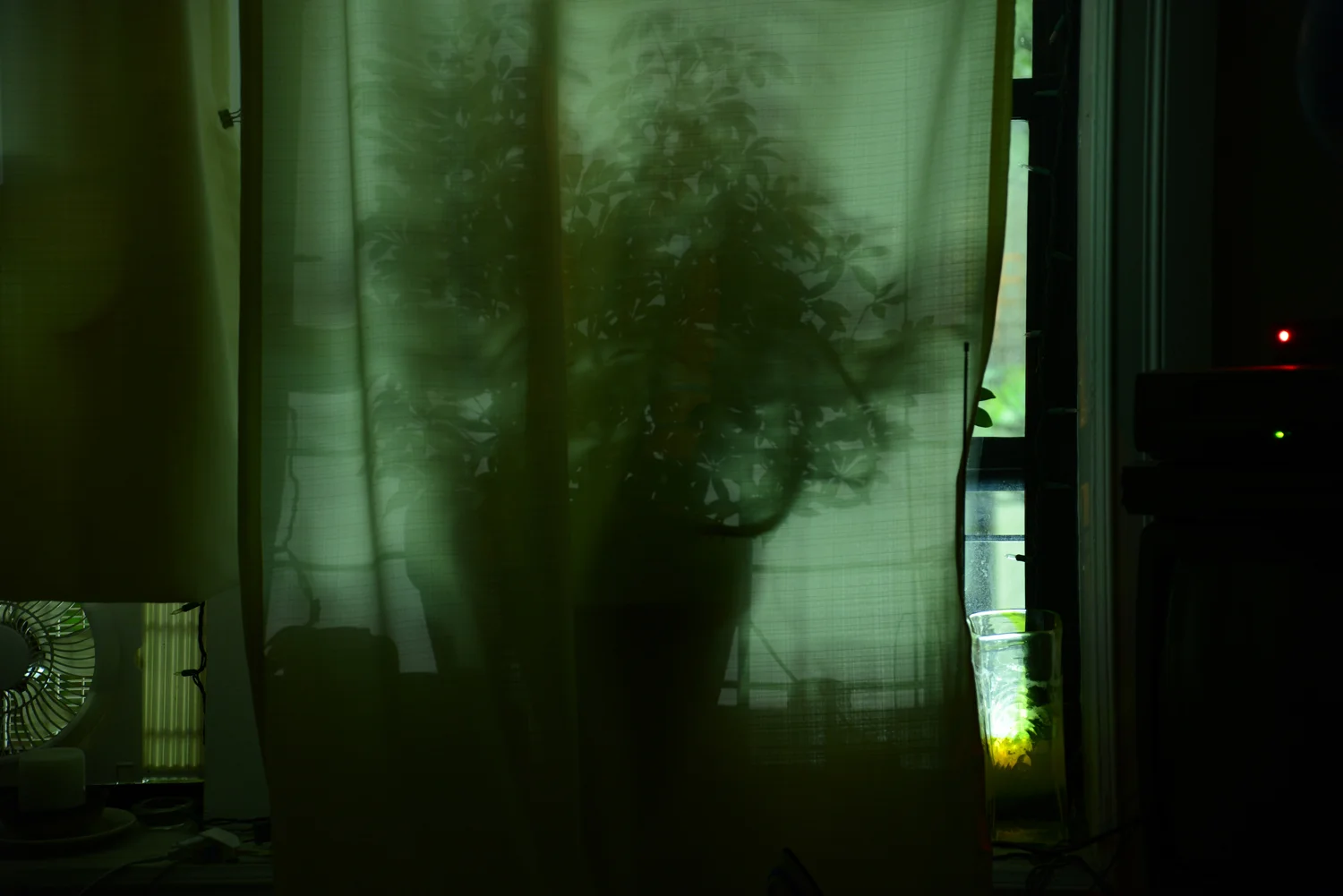 KATHLEEN RUGH