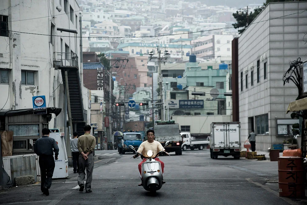 Field Guide II: The Street