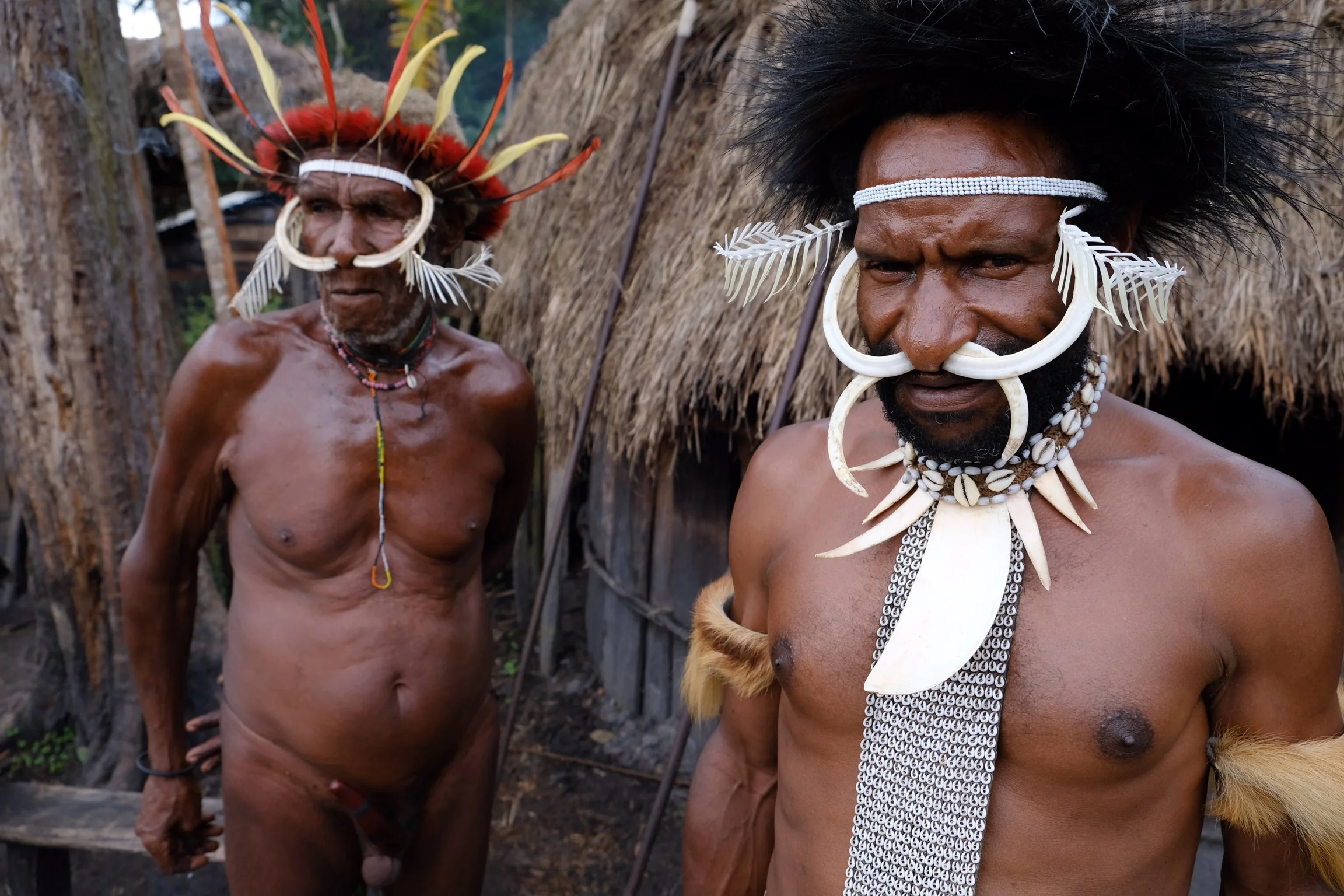 Zhenya  Bernadskaya  - 5D95C946-0B27-4228-8C65-B938BEA0B4C1.jpeg