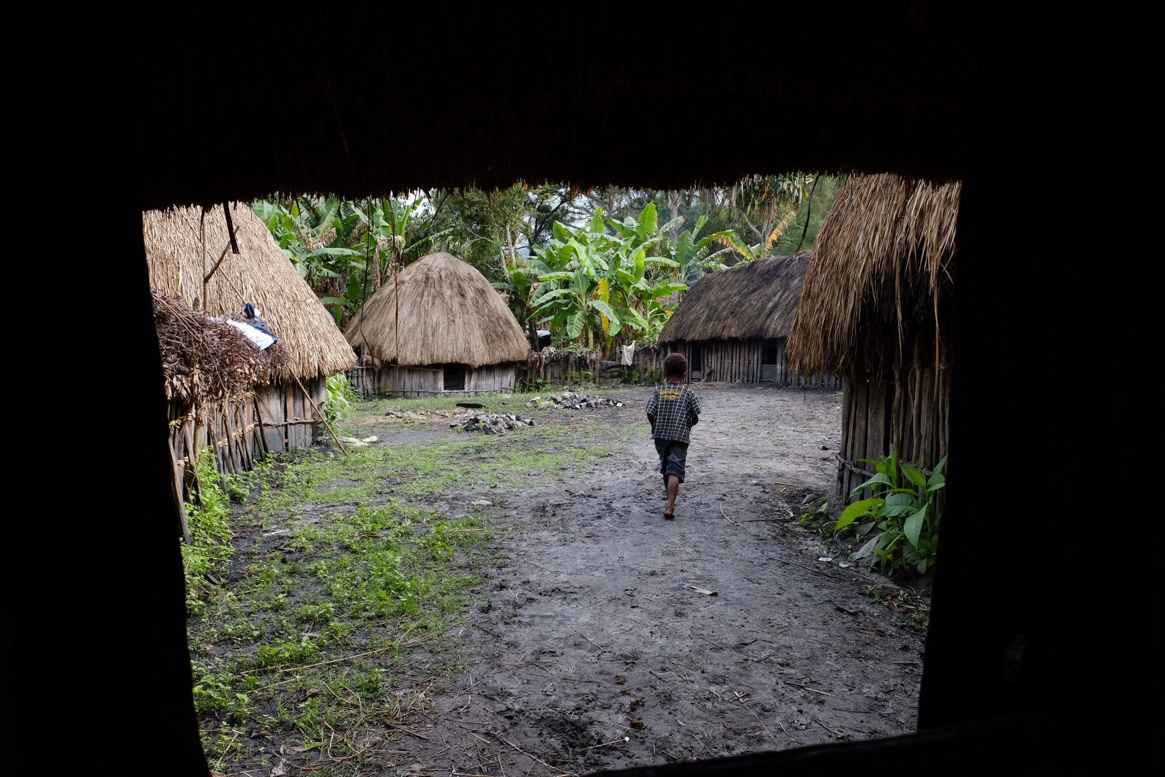 Zhenya  Bernadskaya  - EF33BBE9-2CB9-4C8B-8122-0CF5F781FC11.jpeg