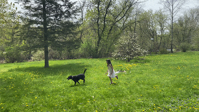 Video Document: Capturing Now (6 weeks)