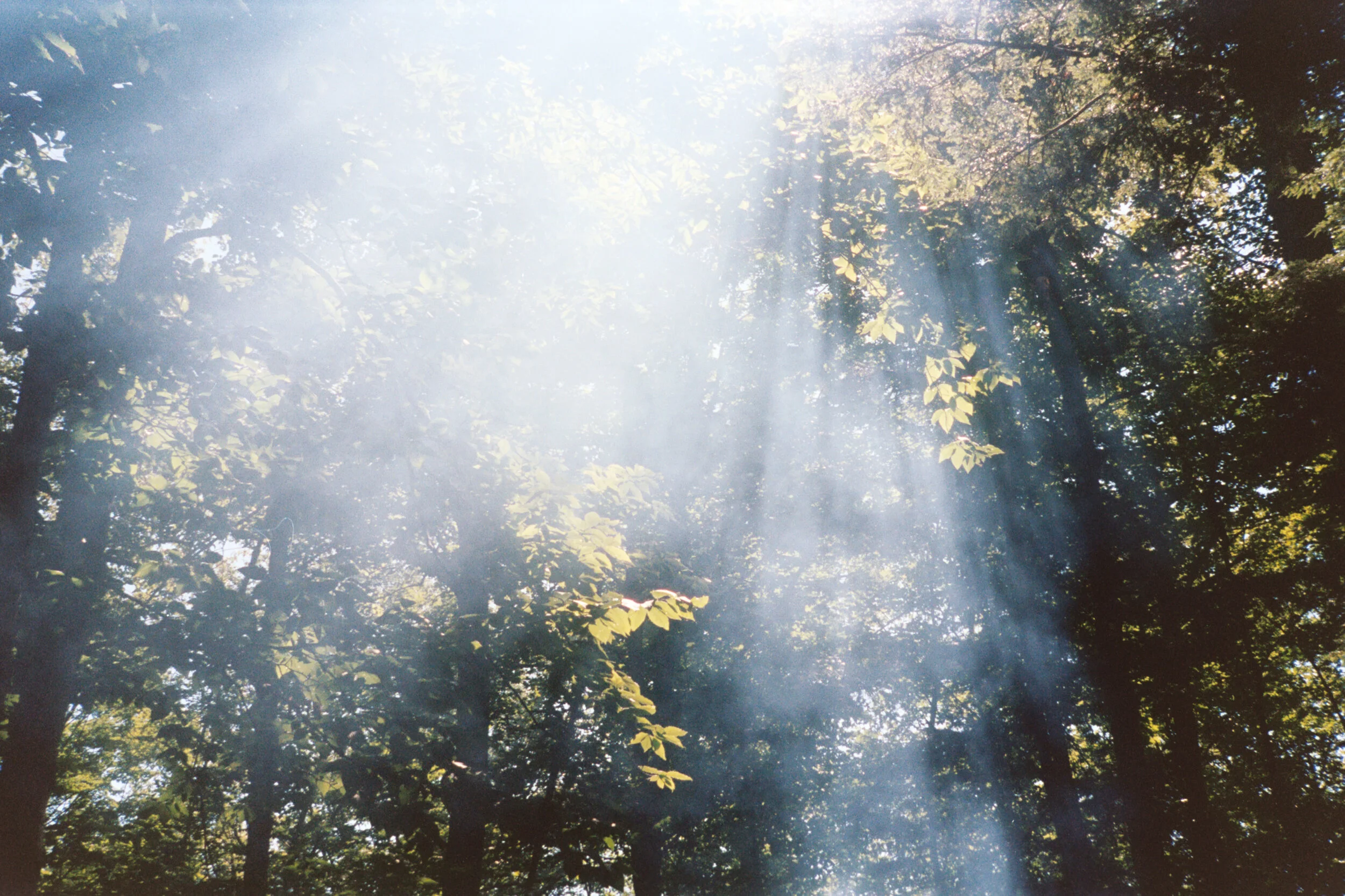 [ SALE $79 ] The Power of Light (2 weeks)