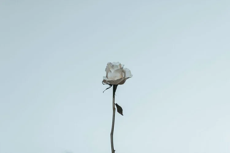 ONLINE | Deep Focus: Photographing Time (6 weeks)