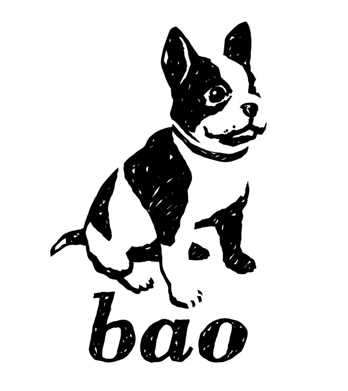 Bao-Publishing-logo.jpg
