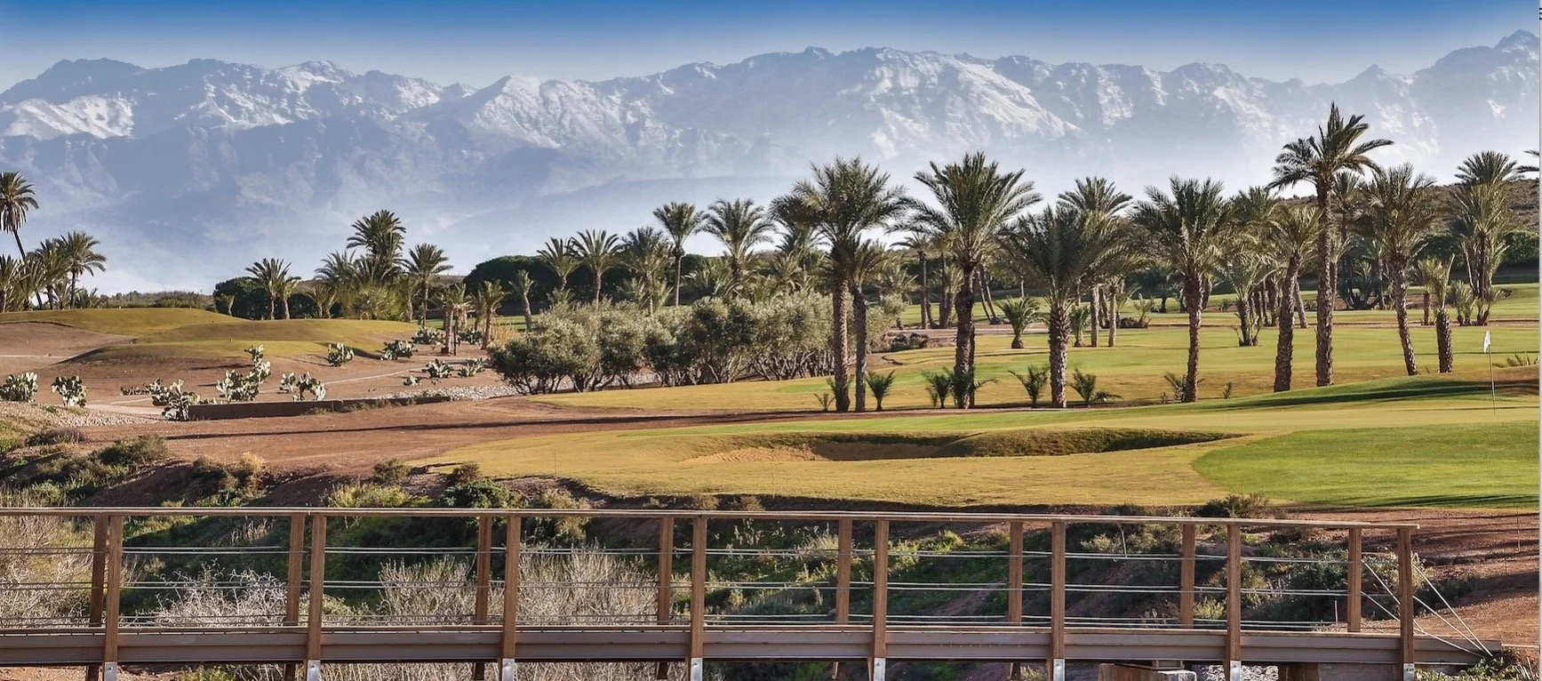 Screenshot 2023-04-14 at 10.37.11.jpeg