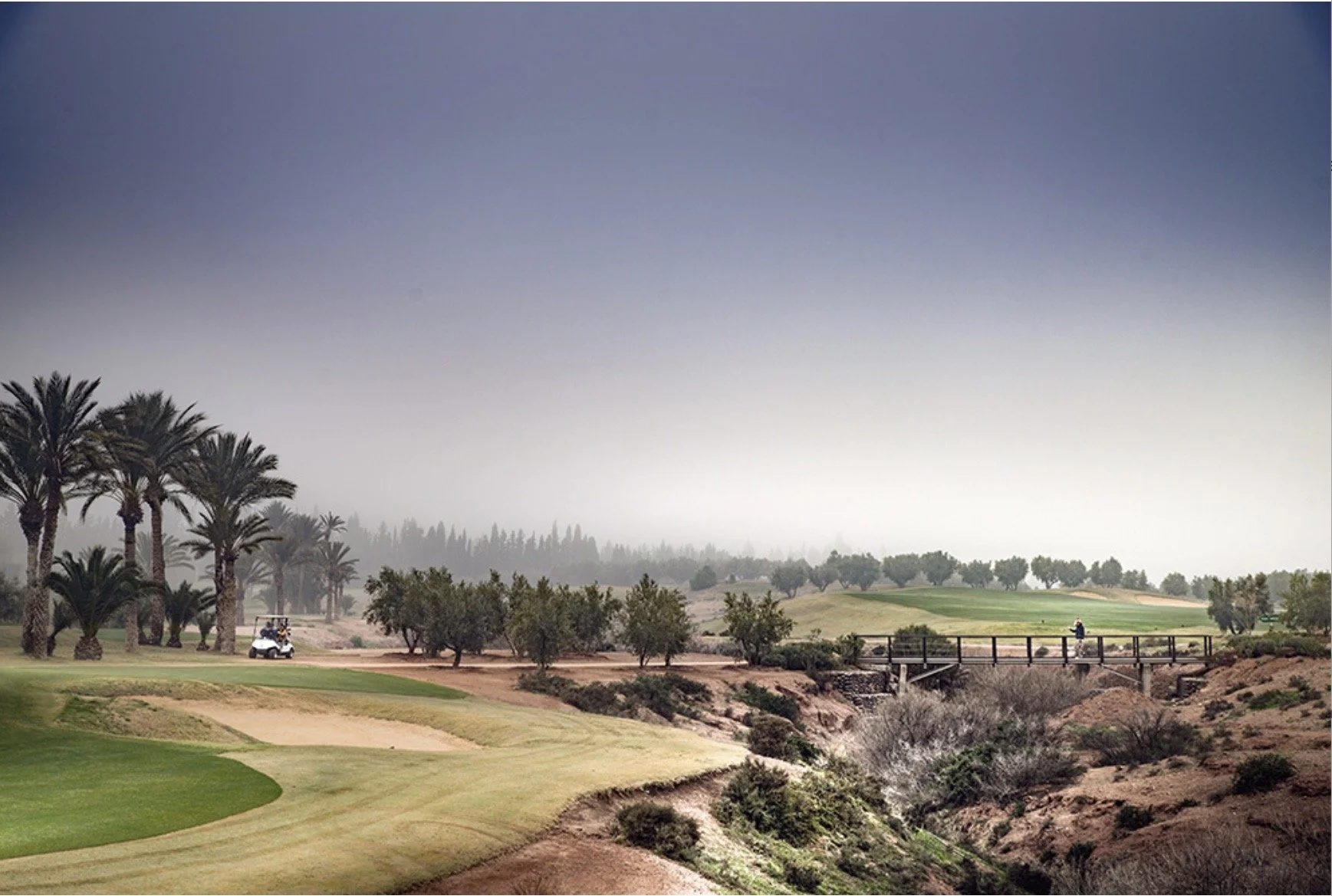 Screenshot 2023-04-14 at 10.37.14.jpeg