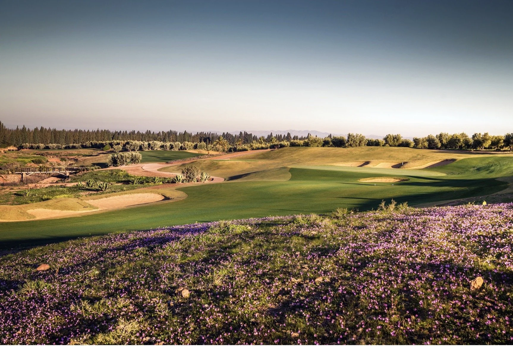 Screenshot 2023-04-14 at 10.37.19.jpeg