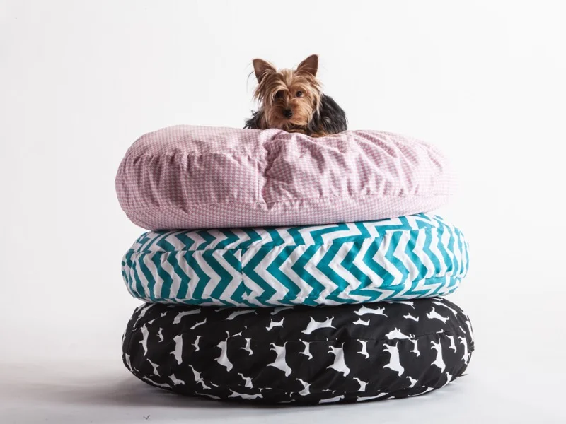 Comfort Research : Pet Bed
