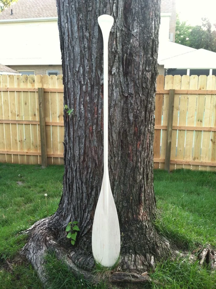 Reflections: Canoe Paddle
