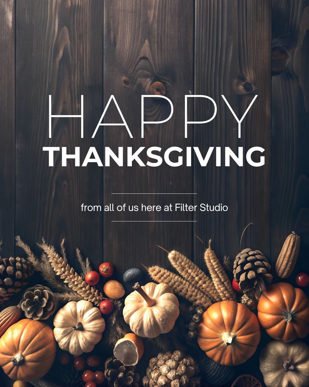 Happy Thanksgiving from Filter Studio! We're grateful for our amazing customers and community. Wishing you a wonderful holiday filled with family, friends, and delicious food.