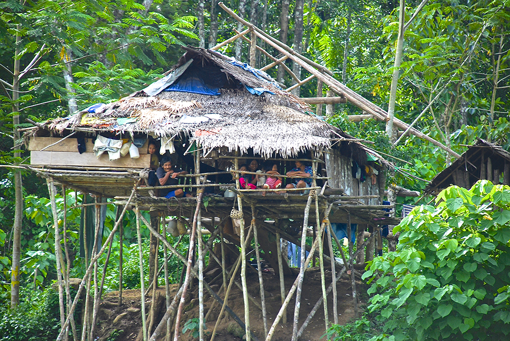 DSC_0131.jpg