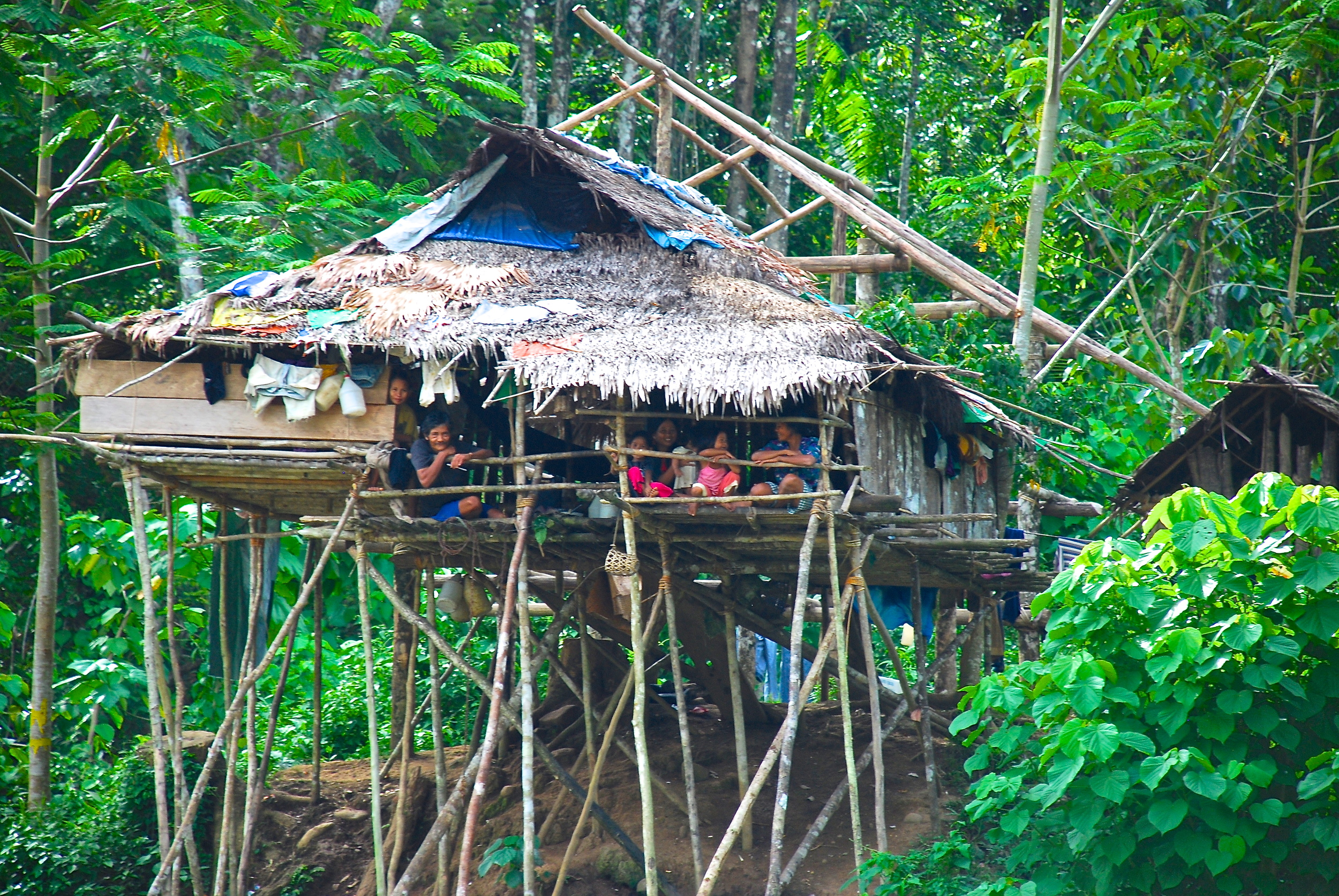 DSC_0131