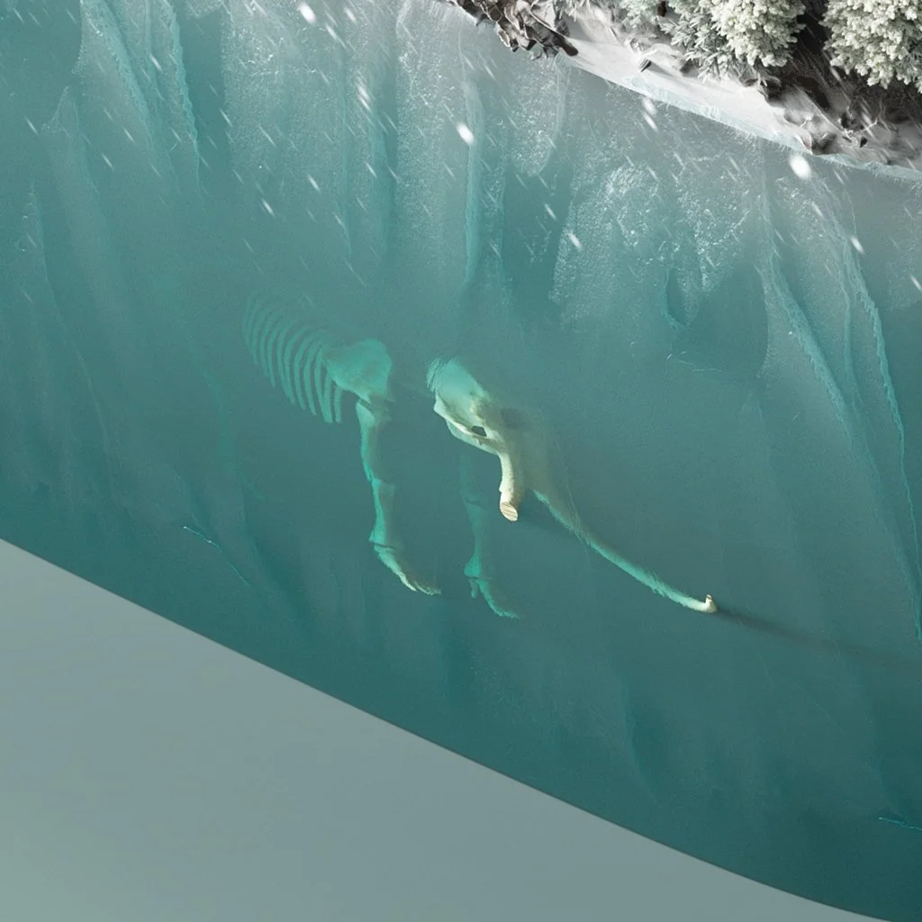 SEAT_COURTESY_CAR_12K_FINAL C3.jpg