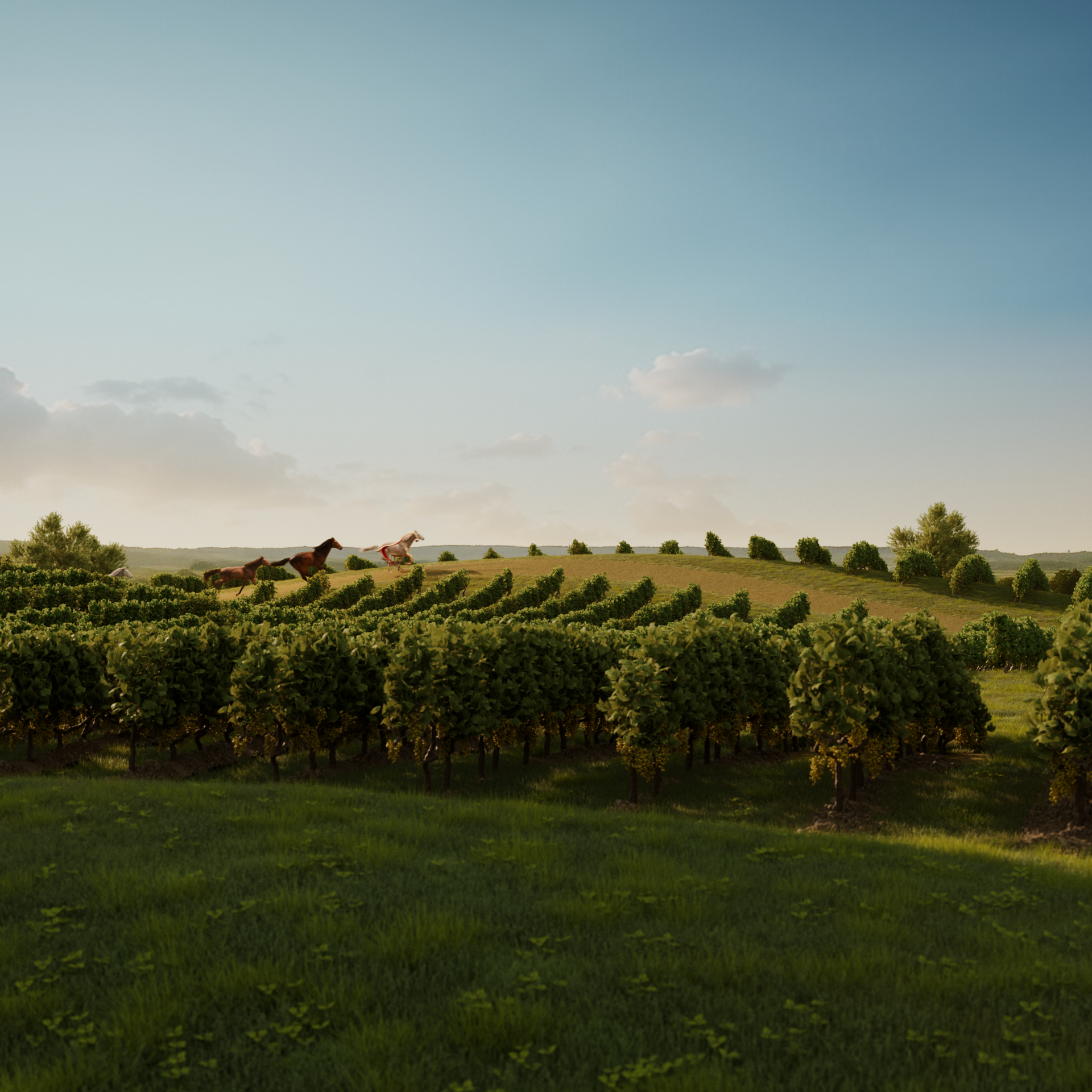 SH_300_V12_0012 copy.png